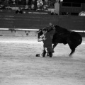 Feria de la Magdalena