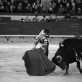 Feria de la Magdalena