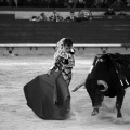 Feria de la Magdalena