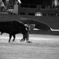 Feria de la Magdalena