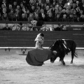 Feria de la Magdalena