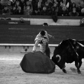 Feria de la Magdalena