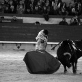 Feria de la Magdalena