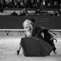 Feria de la Magdalena