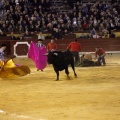 Feria de la Magdalena