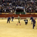 Feria de la Magdalena