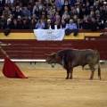 Feria de la Magdalena