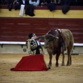 Feria de la Magdalena