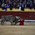 Feria de la Magdalena