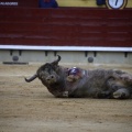 Feria de la Magdalena