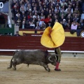 Feria de la Magdalena