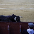 Feria de la Magdalena