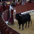 Feria de la Magdalena