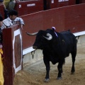 Feria de la Magdalena