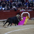 Feria de la Magdalena