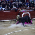 Feria de la Magdalena