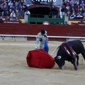 Feria de la Magdalena