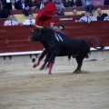 Feria de la Magdalena