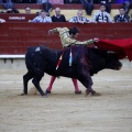 Feria de la Magdalena