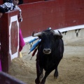 Feria de la Magdalena