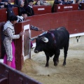 Feria de la Magdalena