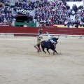 Feria de la Magdalena