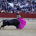 Feria de la Magdalena