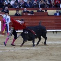 Feria de la Magdalena