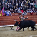 Feria de la Magdalena