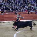 Feria de la Magdalena