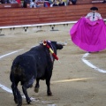 Feria de la Magdalena