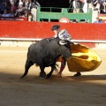 Feria de la Magdalena
