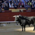 Feria de la Magdalena