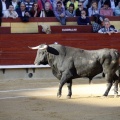 Feria de la Magdalena