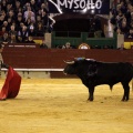 Feria taurina de la Magdalena