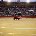 Feria taurina de la Magdalena