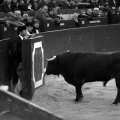 Feria taurina de la Magdalena