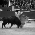 Feria taurina de la Magdalena