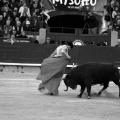 Feria taurina de la Magdalena