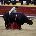 Feria taurina de la Magdalena