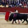 Feria taurina de la Magdalena