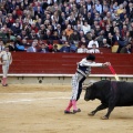 Feria taurina de la Magdalena