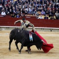 Feria taurina de la Magdalena