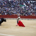 Feria taurina de la Magdalena