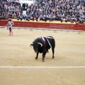 Feria taurina de la Magdalena