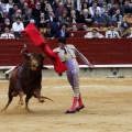 Feria taurina de la Magdalena