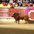 Feria taurina de la Magdalena