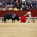 Feria taurina de la Magdalena