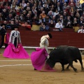 Feria taurina de la Magdalena