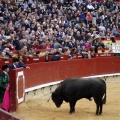 Feria taurina de la Magdalena